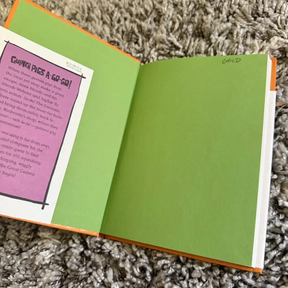 Stink and Great Guinea Pig Express Megan McDonald Peter H Reynolds Hardover Book